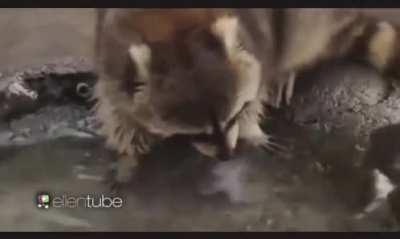 Me putting 30 bad artifacts in the strongbox to see them turn into 10 mediocre ones and so on