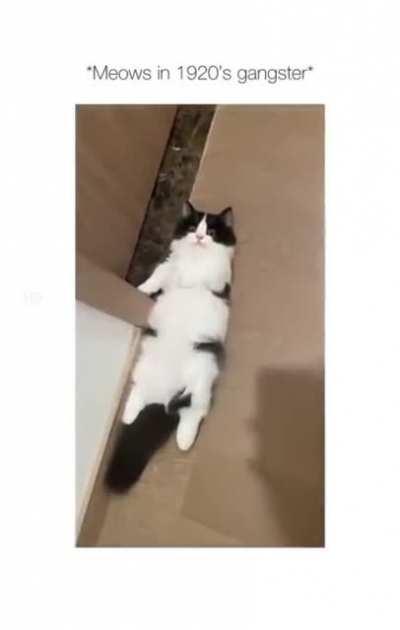 it's his best counan impression.