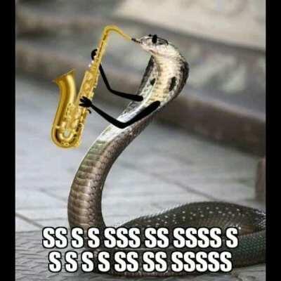 Snake jazz