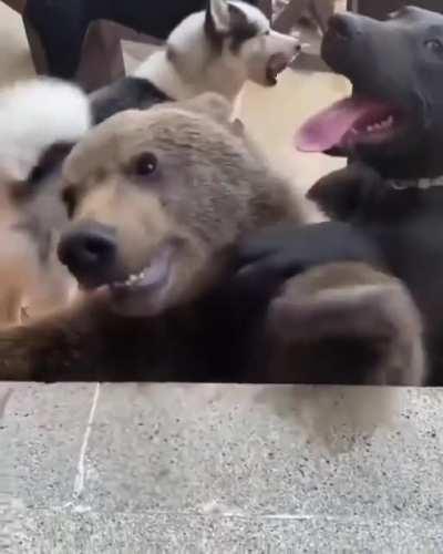 Well, he looks a bit different, but we are cool with that.