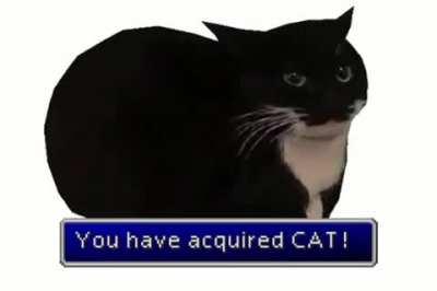 CAT +1 cat. does absolutely nothing, and you can't get rid of it