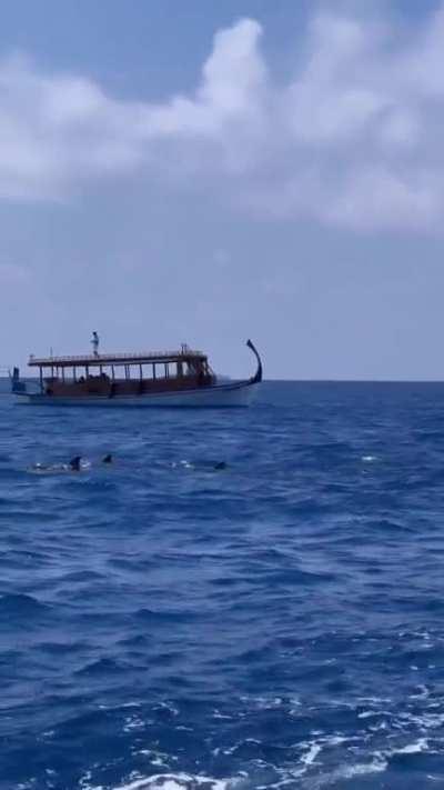 Priya Varrier 🤤💦