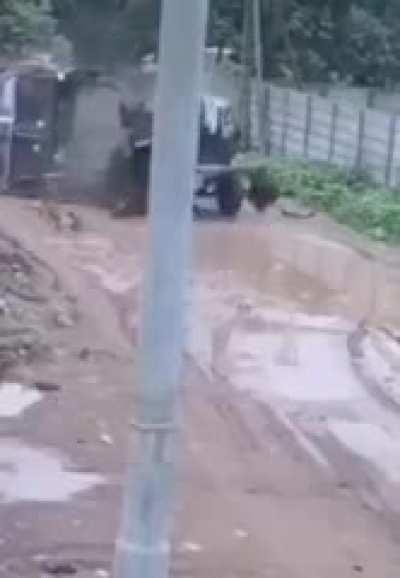 best road, truck and driver in 🇮🇳🇮🇳