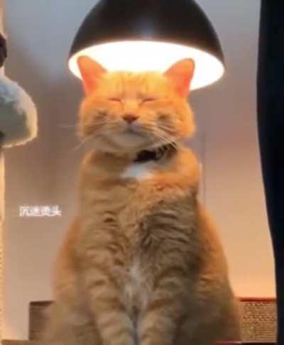 His Holiness has returned