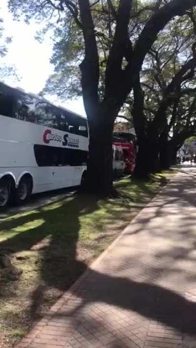 (Domingo, 16 de agosto de 2020) 