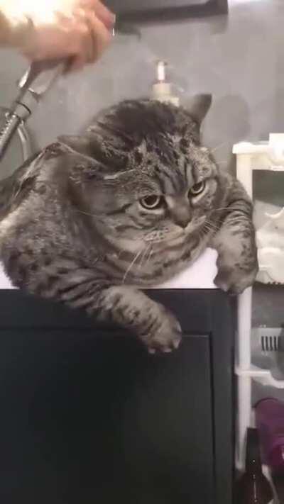 Чёт как-то мокро.....