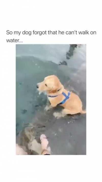 Poor boy took it like a champ though.