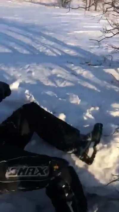 Getting bit by a jack rabbit (OC)