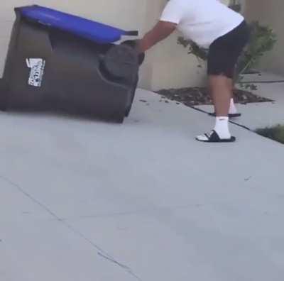 Man captured an alligator using a trash can