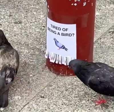 I might have to try this