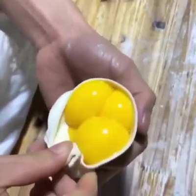 Folding an egg dumpling&hellip;