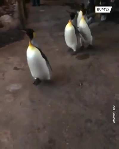 Just wobbling around