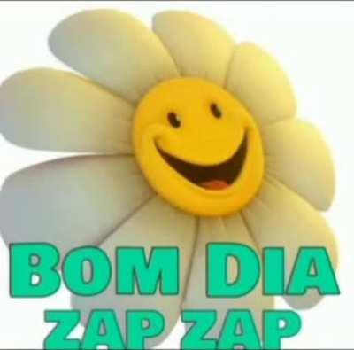 bom dia