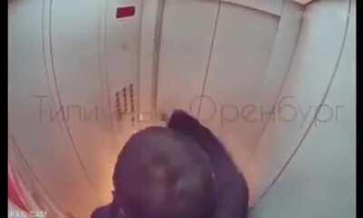 HMFT after I test my vodka