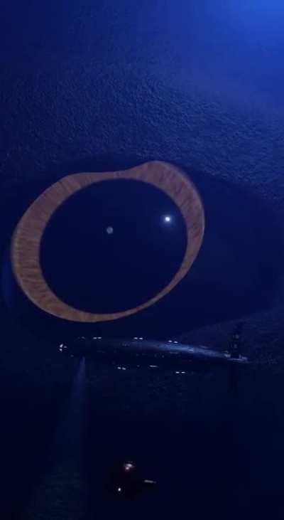 You guys know the feeling, like someone is watching you? credit goes to the tiktoker borisao-blois