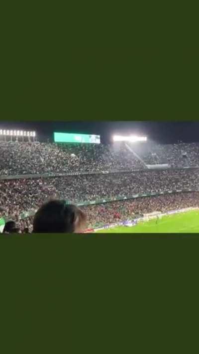 [Real Betis] Real Betis collecting stuffed toys thrown onto the pitch at half-time for charity: 2021 version.