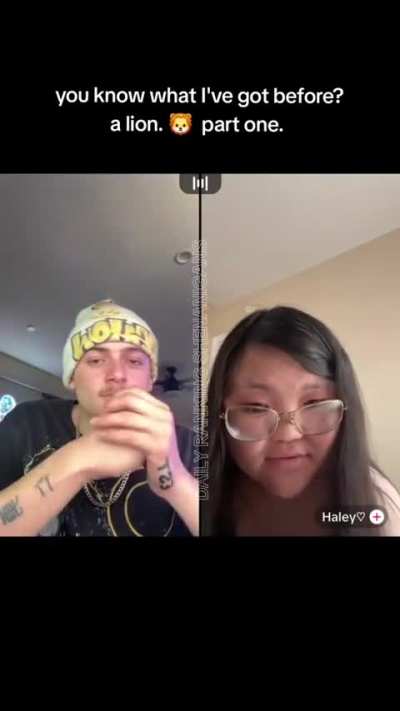 You know what I've got before? A lion. Part one.