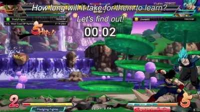 How long will it take for them too learn? leave a guess in the comments!