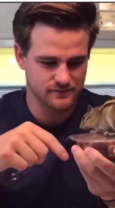 The squirrel is a whole mood lol