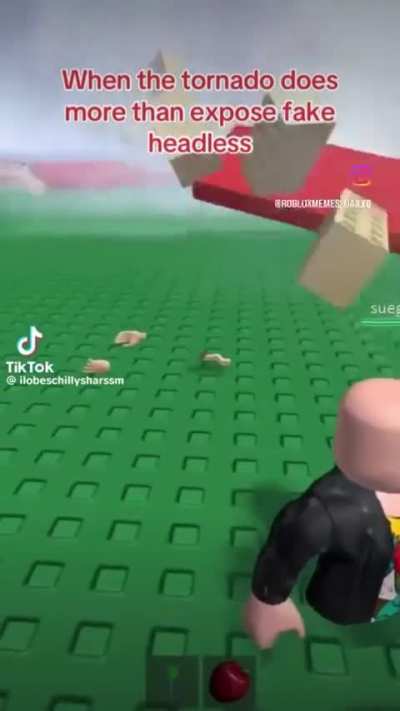 Turned bro into a animatronic