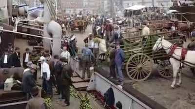 New York City 1900-1919 colorised 🇺🇸