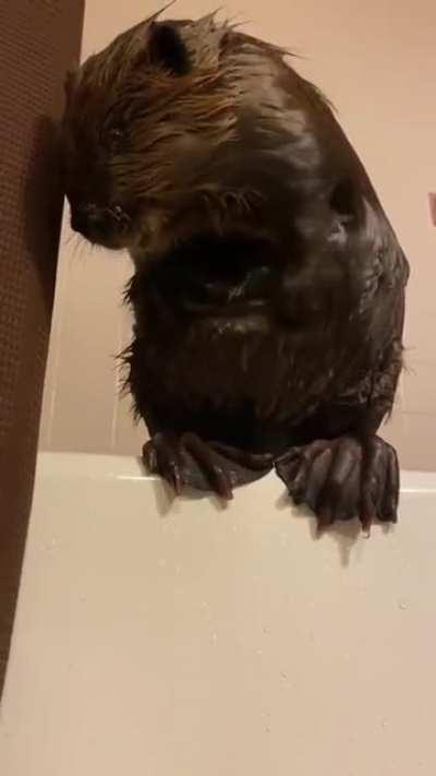 Чистота - залог здоровья!