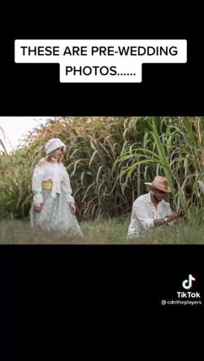 Cottagecore has gone too far