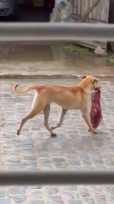 5 mil reais em carne