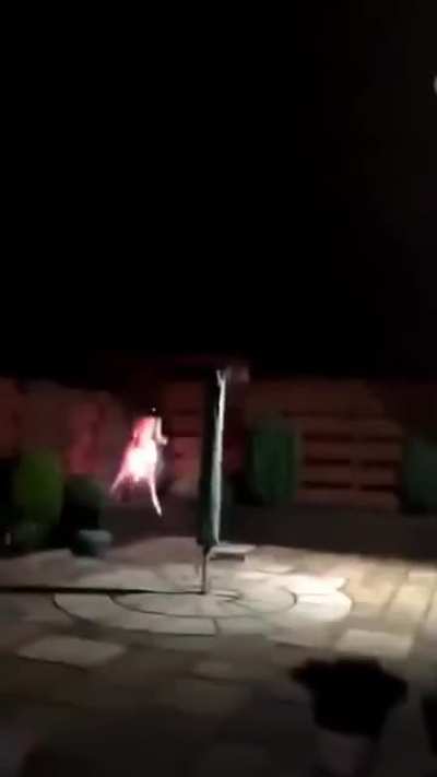 The coochie cracker 🚀