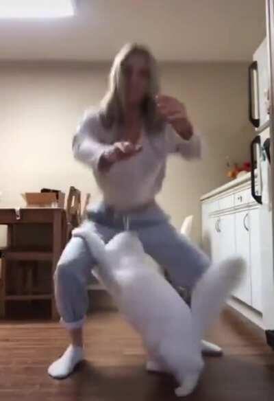 Kitty assassin has had enough TikTok shenanigans