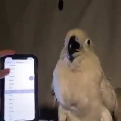 they aren't even TRYING anymore