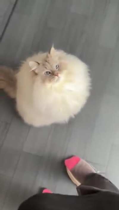 C@ - Critical error. Out of resources