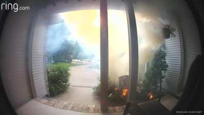 To Burn Away the Cottonwood Seeds