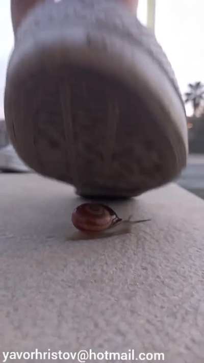 Girl crush snails with convers