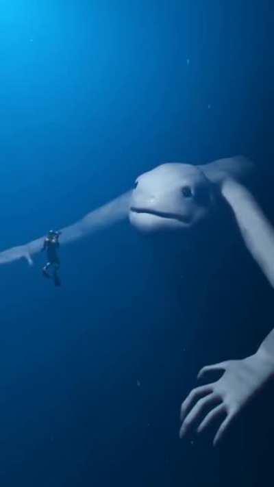 Thanks, I hate whatever this is