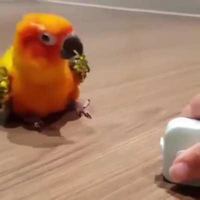 Se seu dia está ruim veja esse vídeo 😅