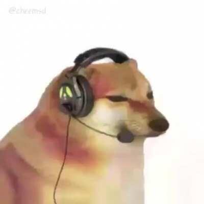 It's Cheems !! With headphones !!