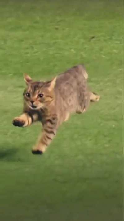 All clear for take off!