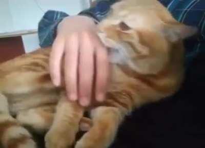 No No, Your Hand Goes Here