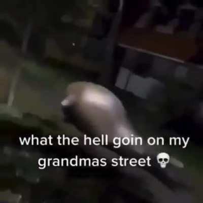 Escape of a wordingtonian