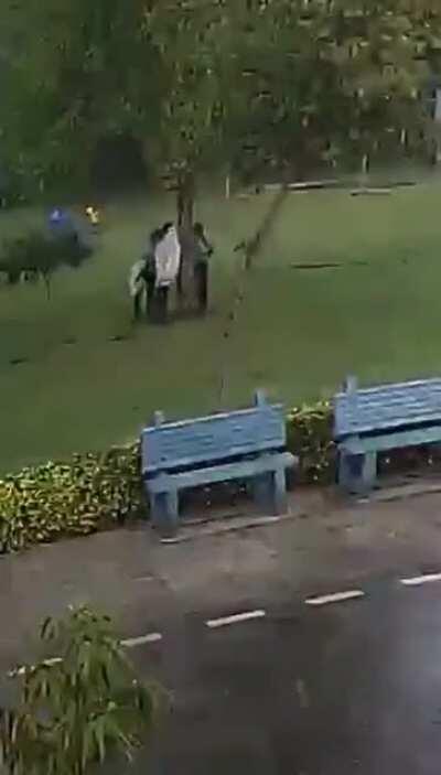 Never hide from rain under a tree