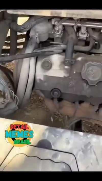 Average balkanic cars