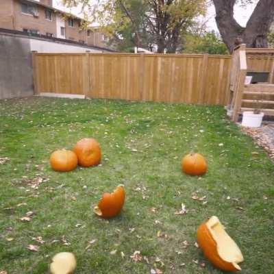 SaD OrAngE MaN CoMmiTS NoT ALivE