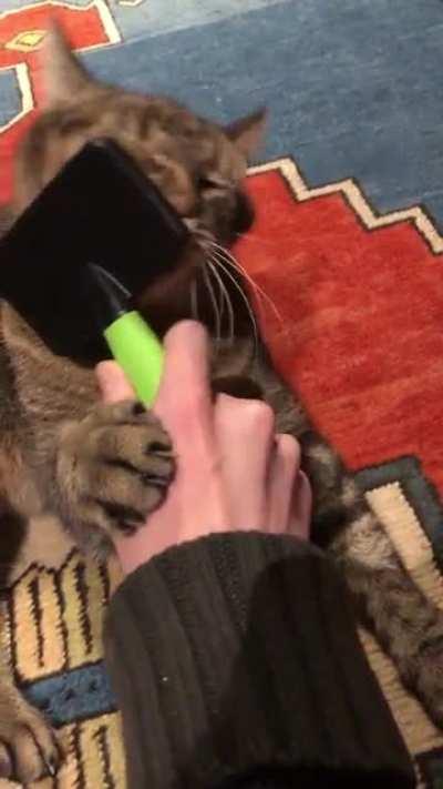 He just needs someone to hold the brush for him! :-)