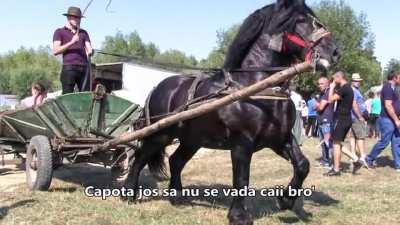 E miercuri, spartanii mei !