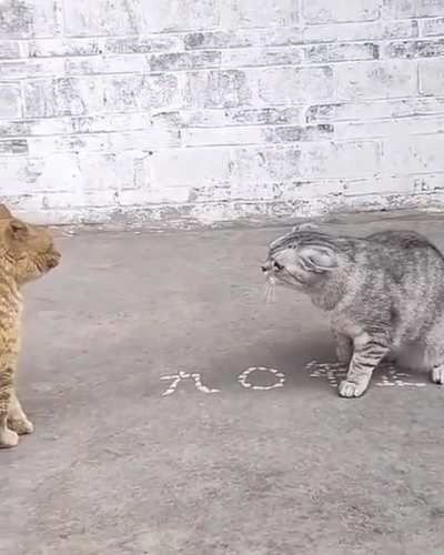 otradelmundo cuando se cabrea