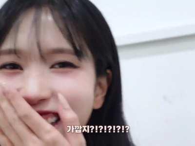 Mina getting shy and laughing when Tzuyu zoomed on her and called her...a pretty egg??