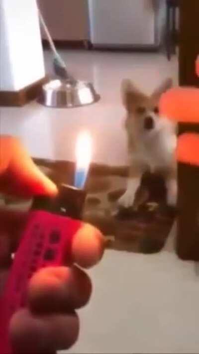 В рот мне ноги, да он грёбанный волшебник