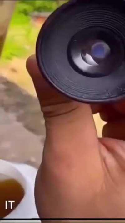 Как определяют плотность меда