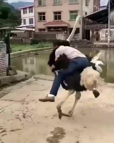 This ain't Donkey Kong Country, motherfucker.